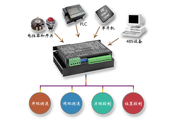 6010B2ź.jpg